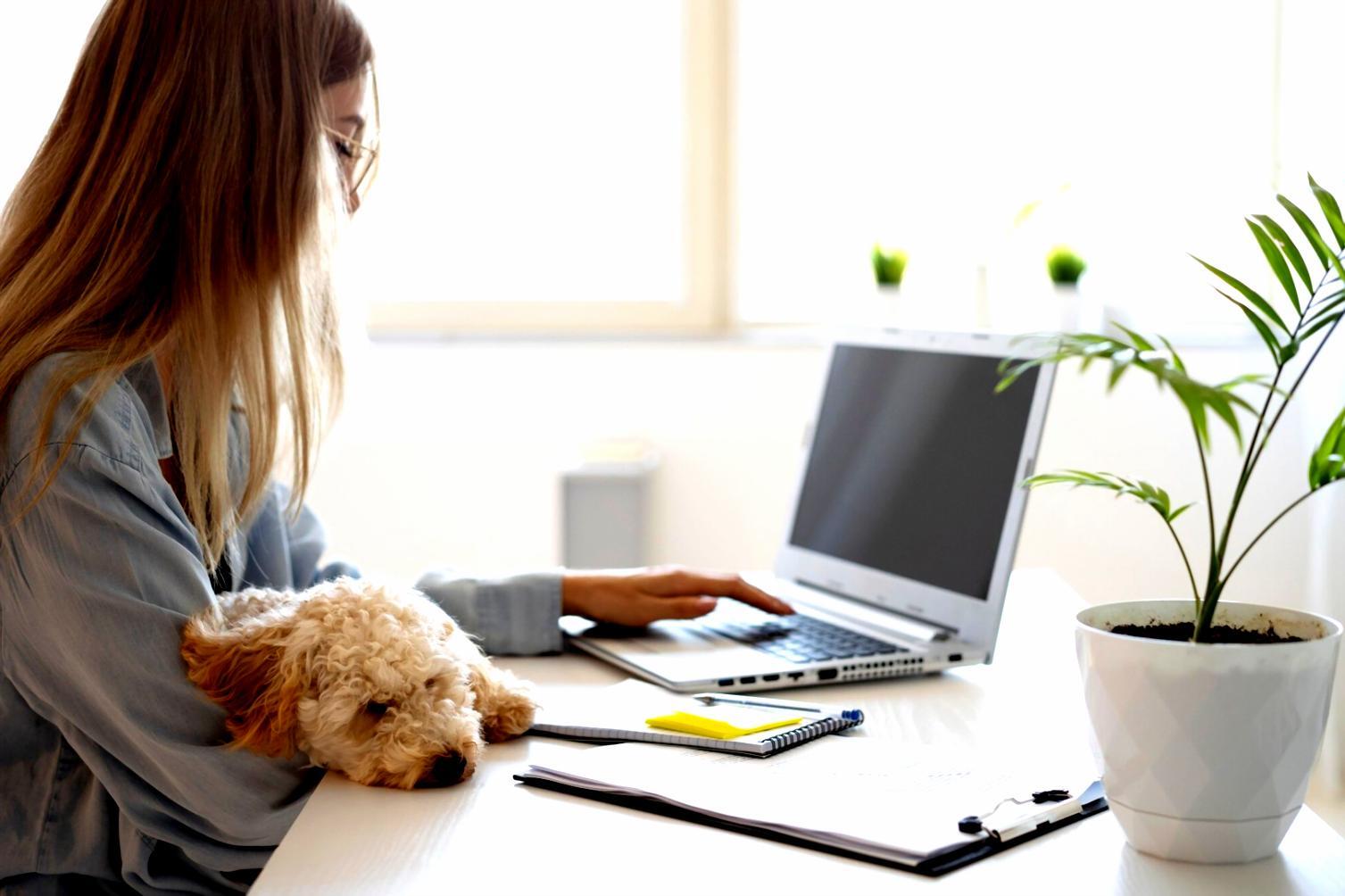 Студенты работают с академическими материалами